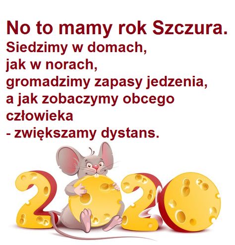 Rok szczura 2020